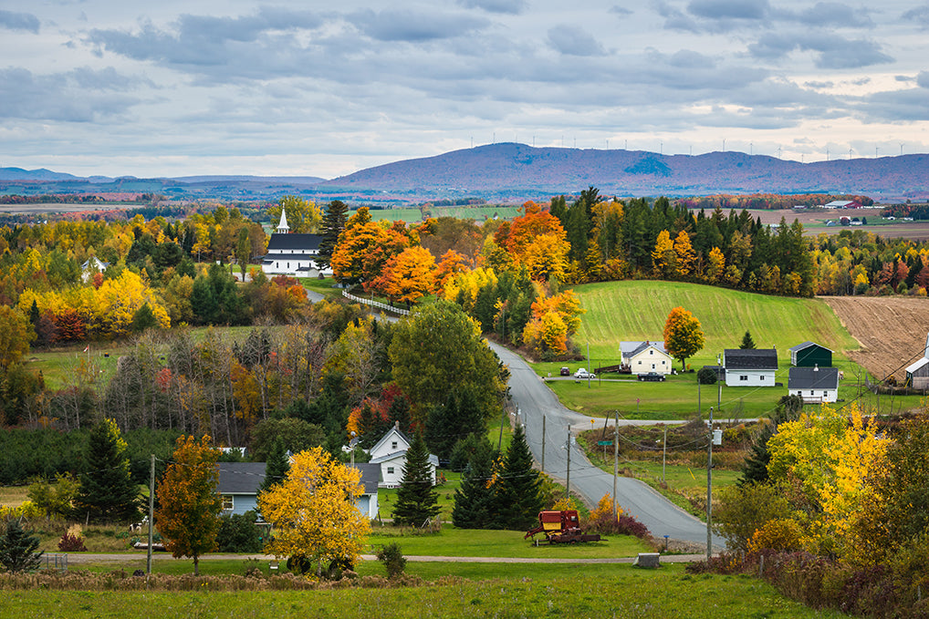 What to do in New Brunswick this Fall