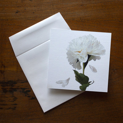 White Peony All Occasion greeting card